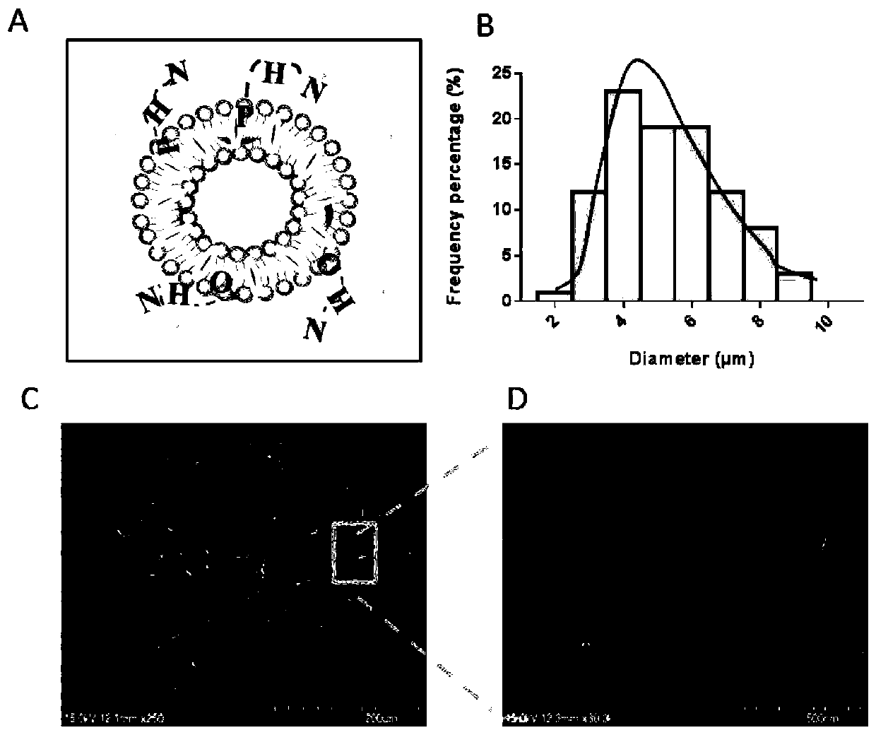 Sustained release aspirin liposome hydrogel and preparation method as well as application of sustained release aspirin liposome hydrogel in preparing medicine for treating recurrent lumbar disc herniation