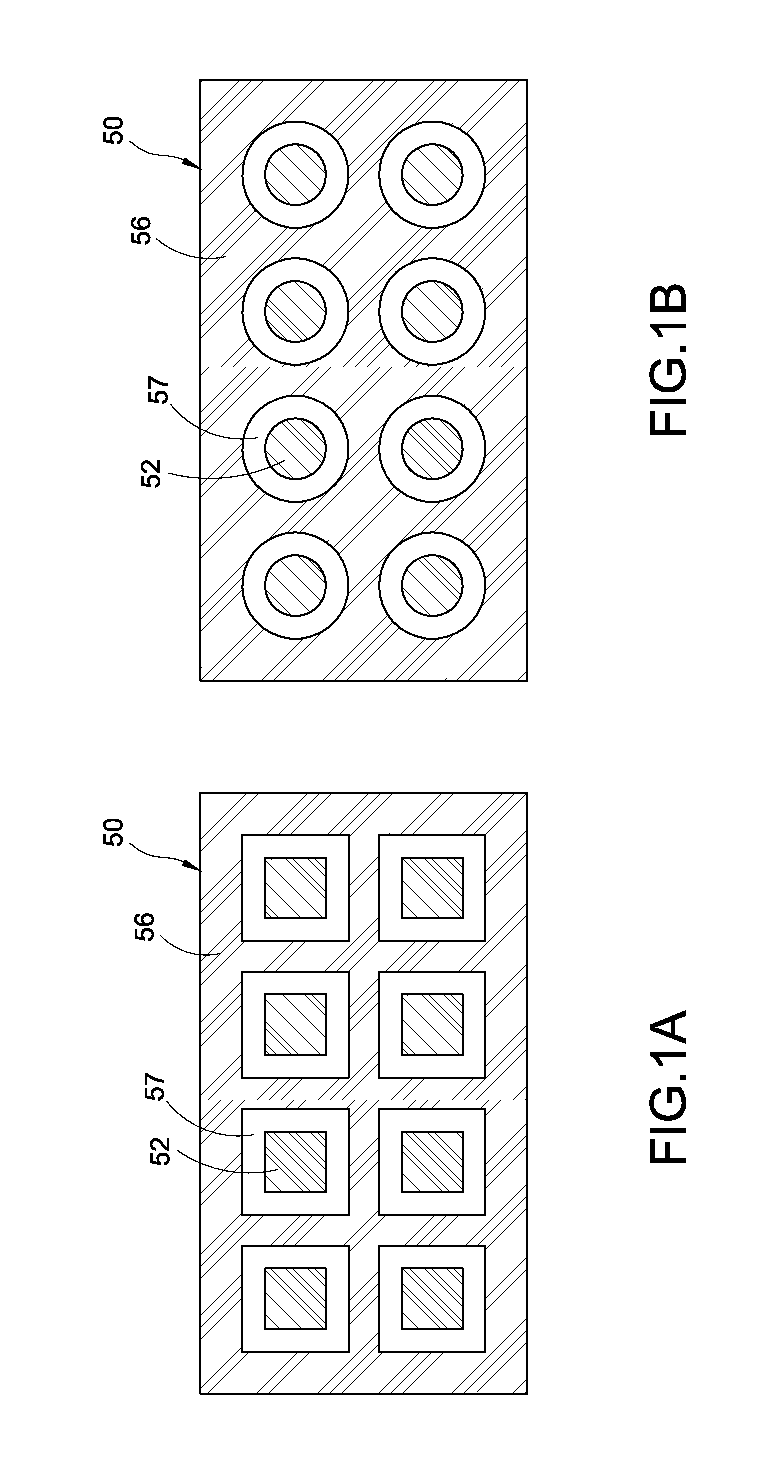 Biometric recognition apparatus with reflection-shielding electrode