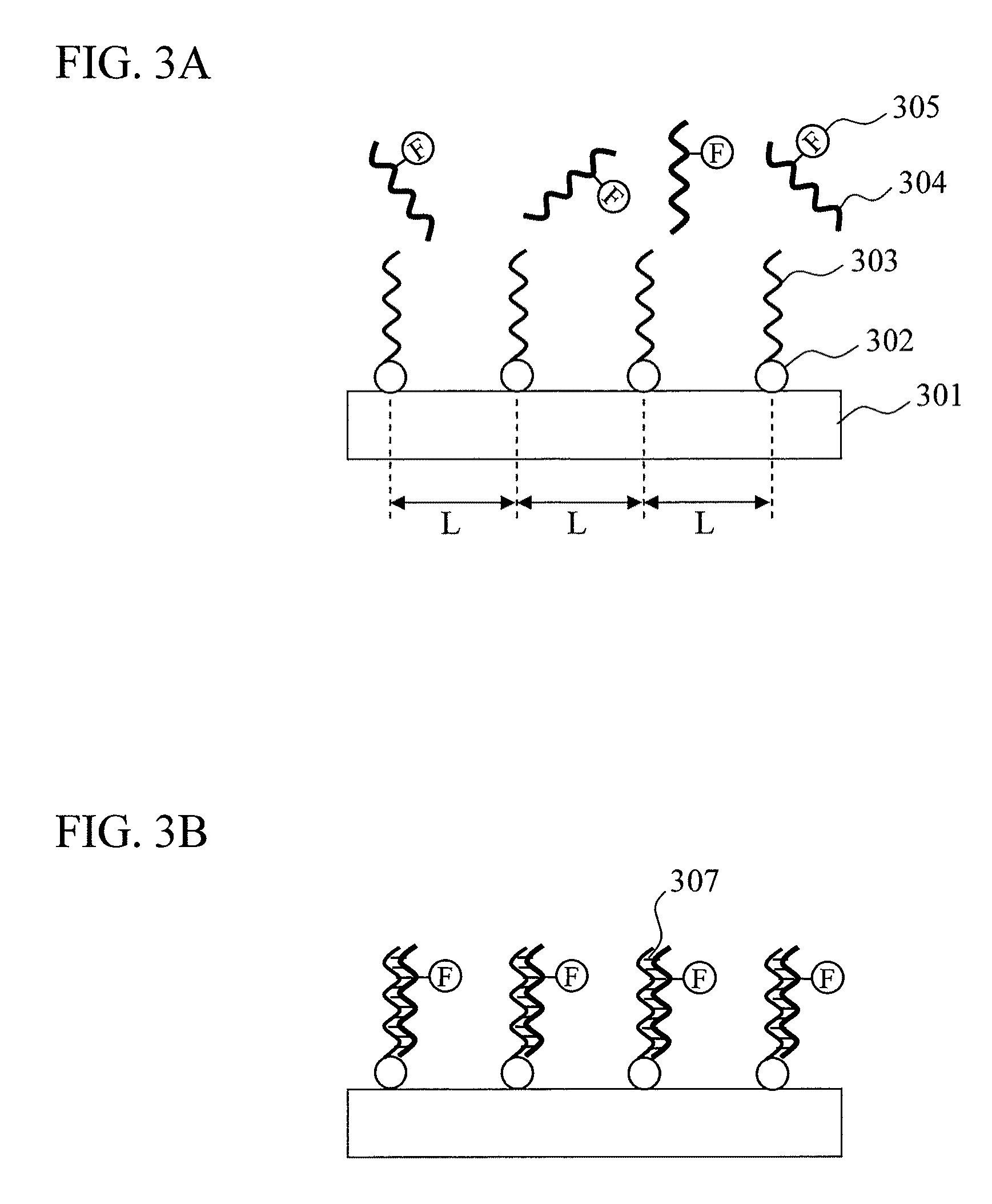 Biomolecule sensor, method for manufacturing the same, biomolecule detection method, and biomolecule detection system