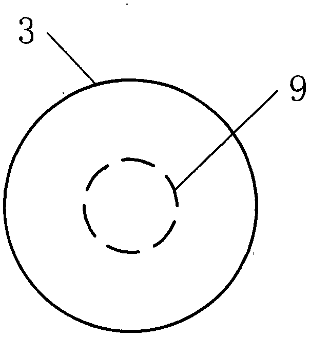 Anchorage supporting anticorrosion anchor rod