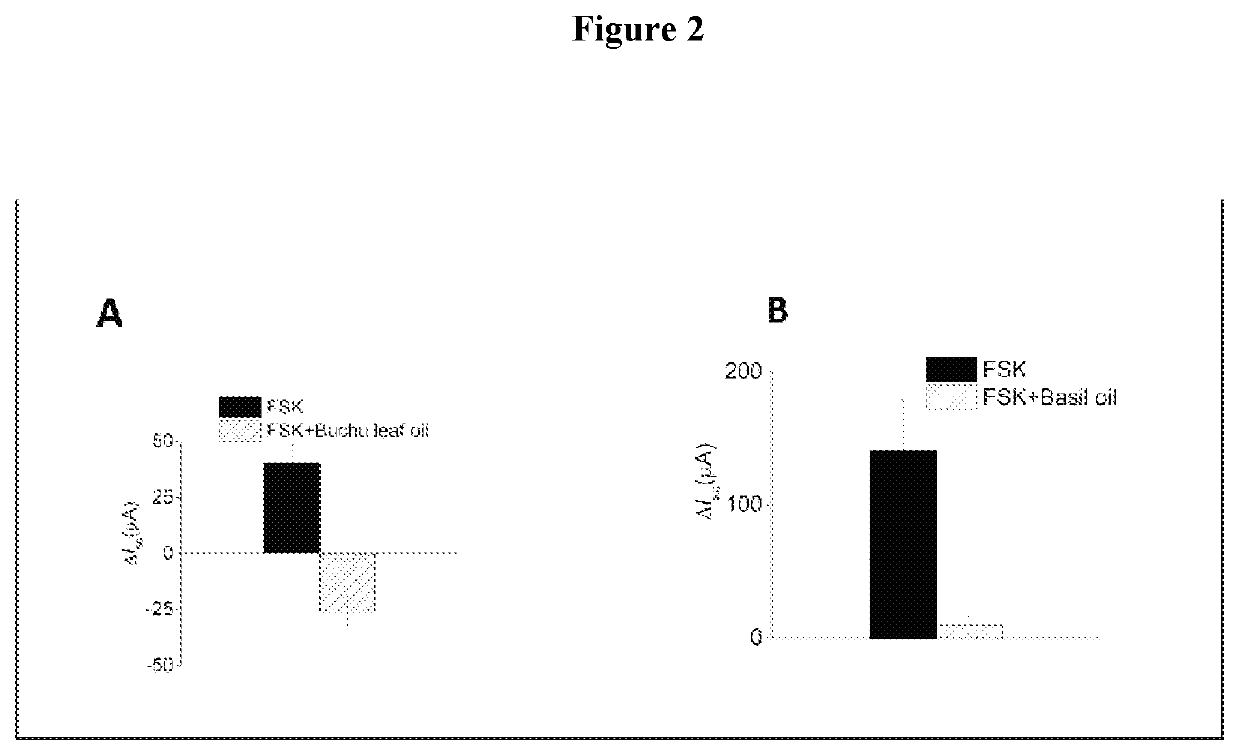 Anti-diarrhoeal herbal compositions