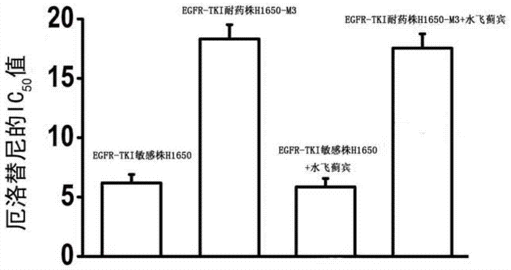 Application of silibinin or its salt in the preparation of drugs that enhance the curative effect of alk-tki and delay its drug resistance