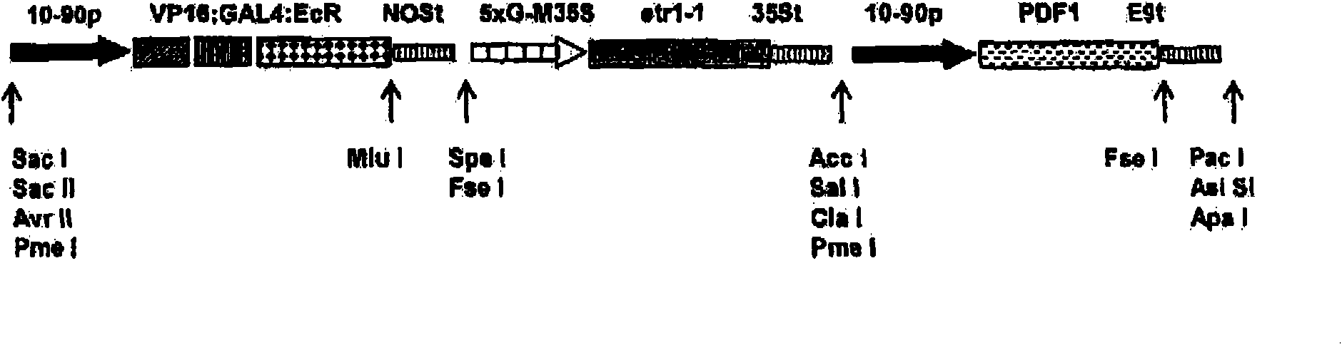 Compositions and methods for the modification of physiological responses in plants