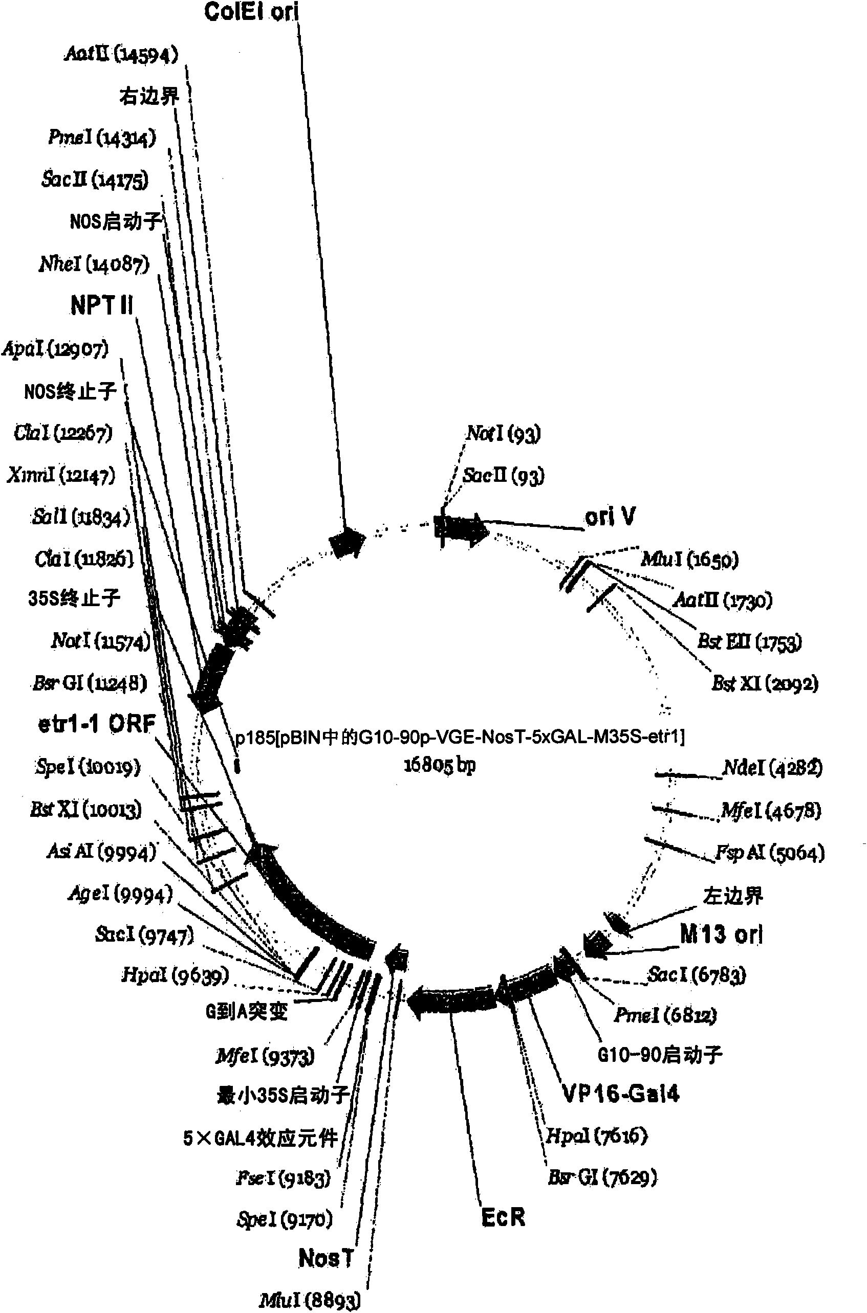 Compositions and methods for the modification of physiological responses in plants