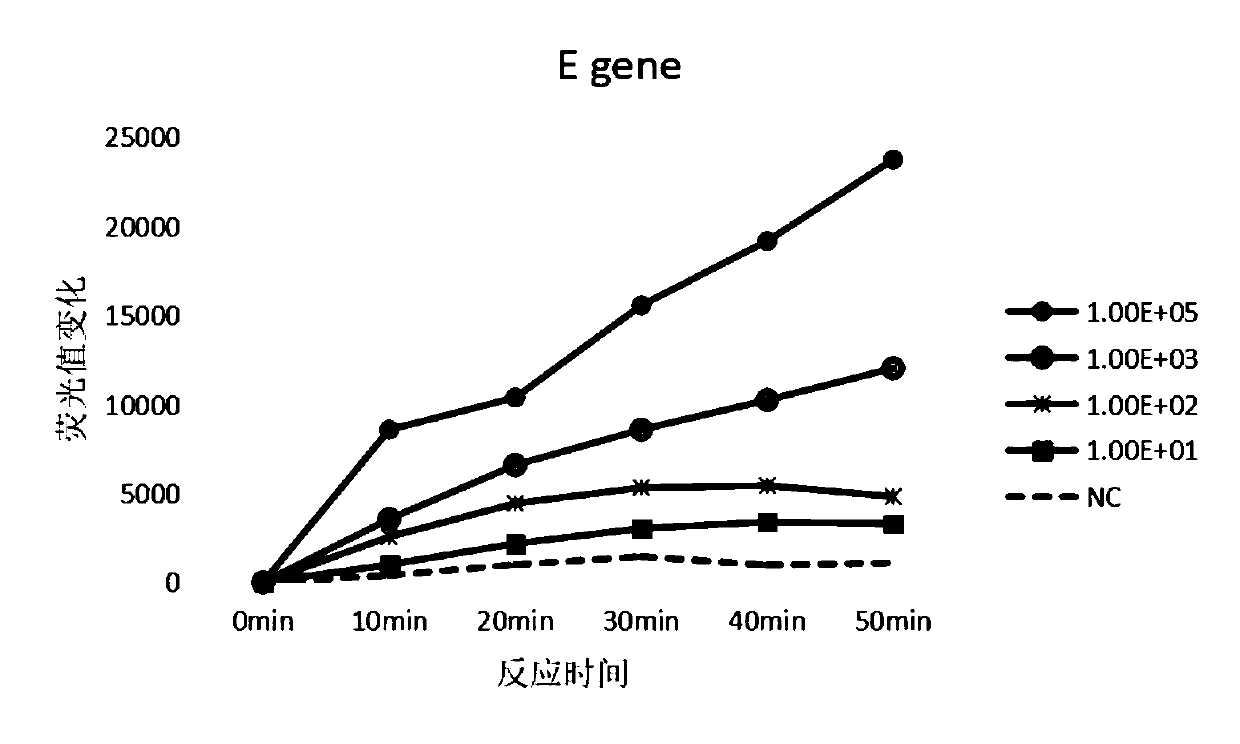 Novel coronavirus nucleic acid detection kit