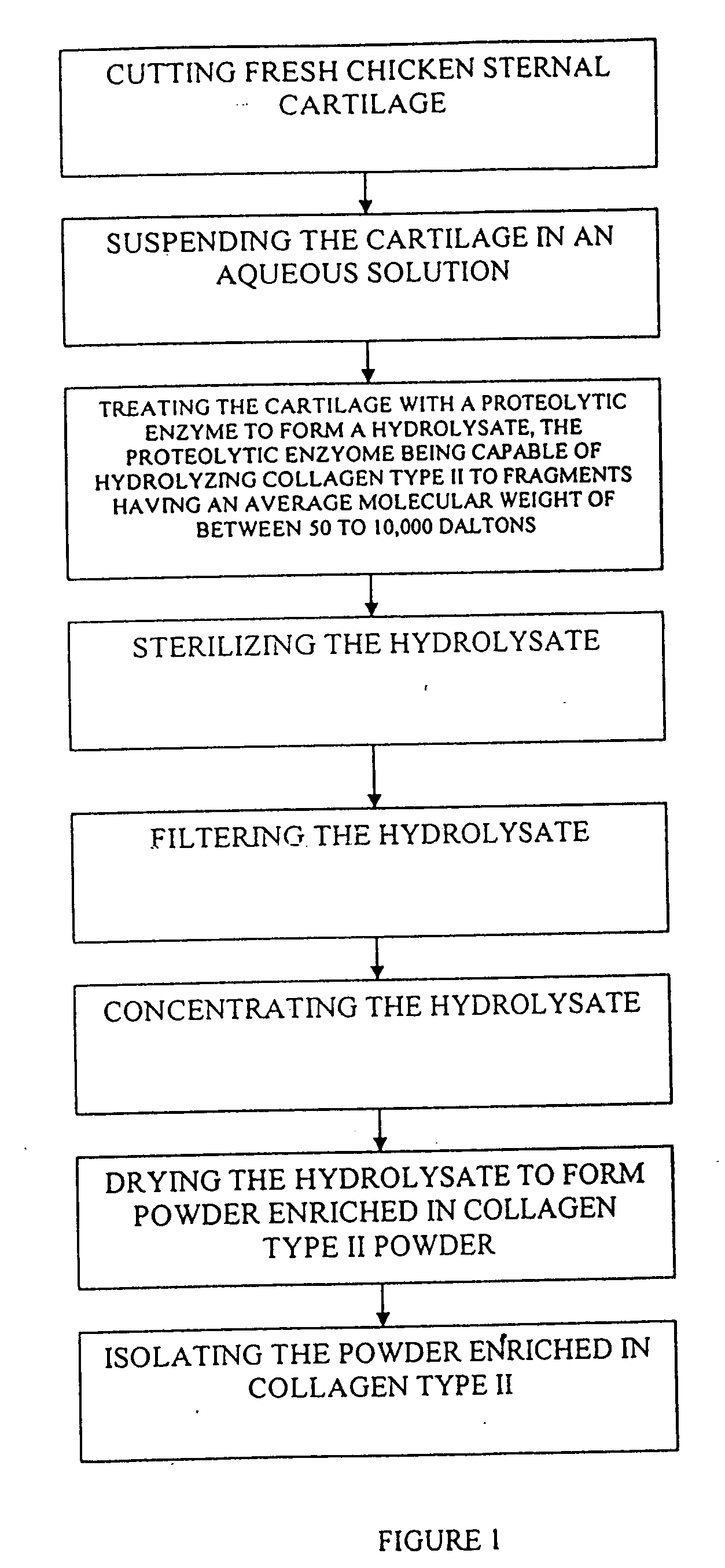 Hyaluronic acid and chondroitin sulfate based hydrolyzed collagen type II and method of making same