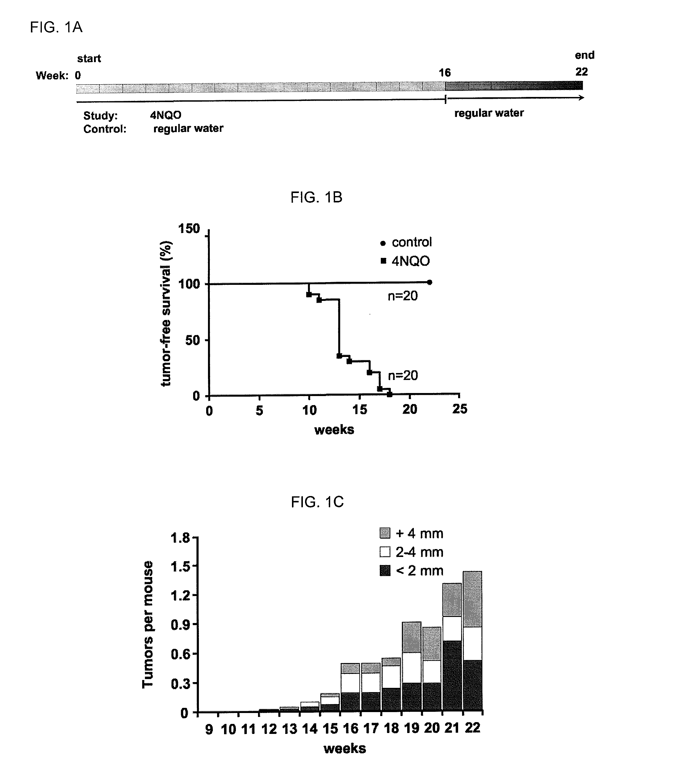 Chemoprevention of head and neck squamous cell carcinomas