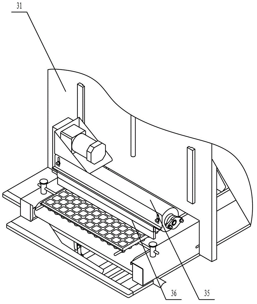 Seedling seeding machine and seedling seeding method