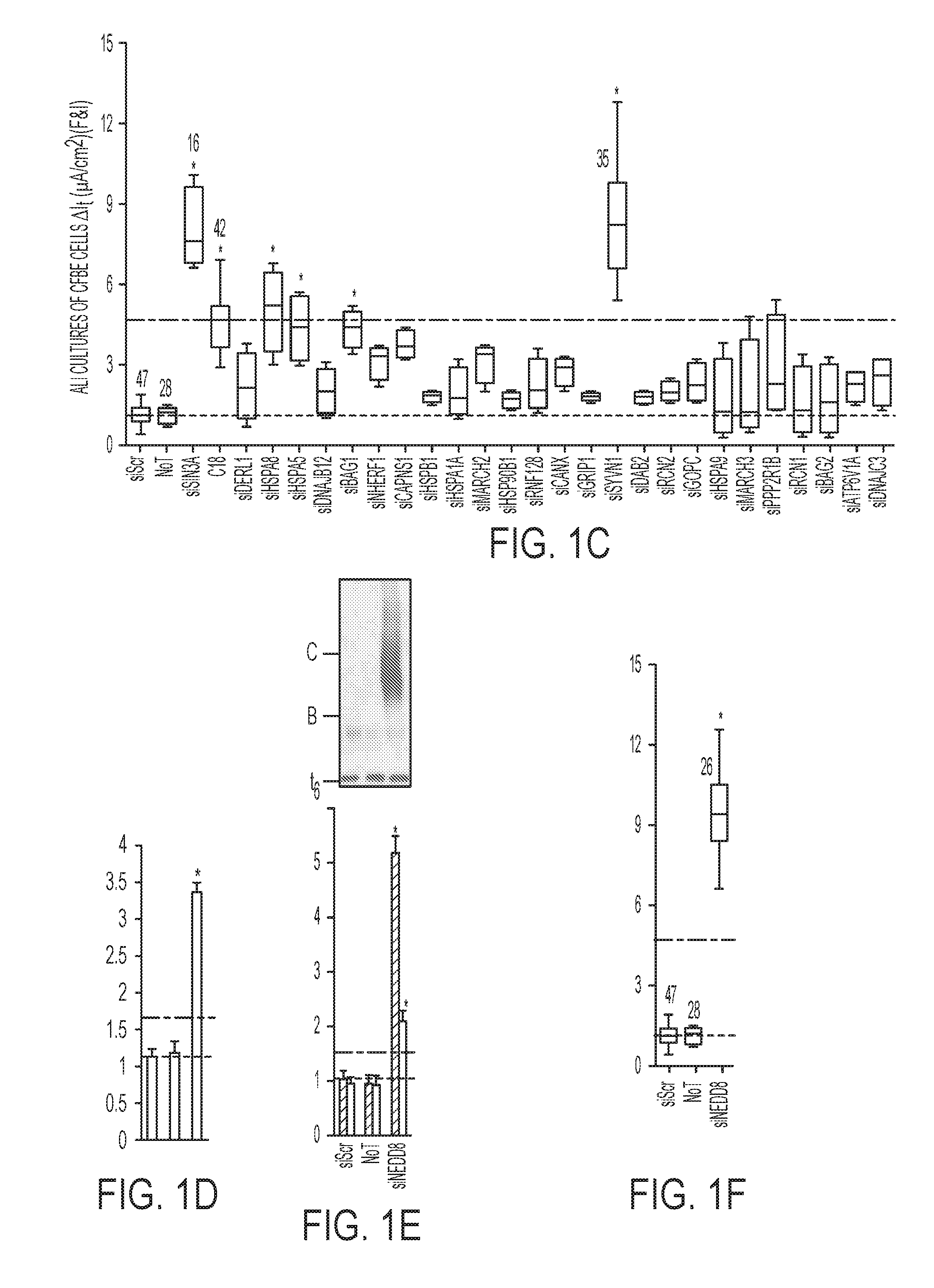 Method of regulating cftr expression and processing