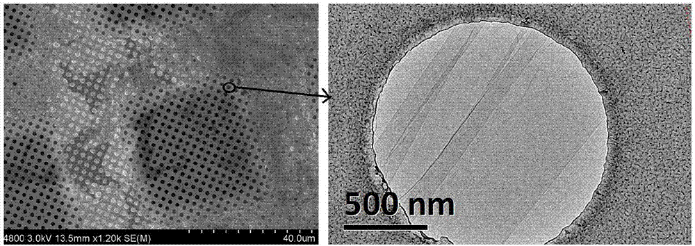 Oxidized graphene carbon support film TEM grid and preparation method thereof