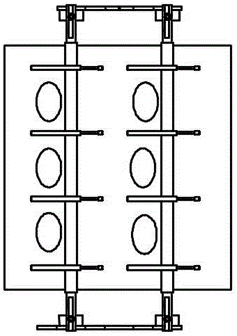 Red date conveying and turnover device