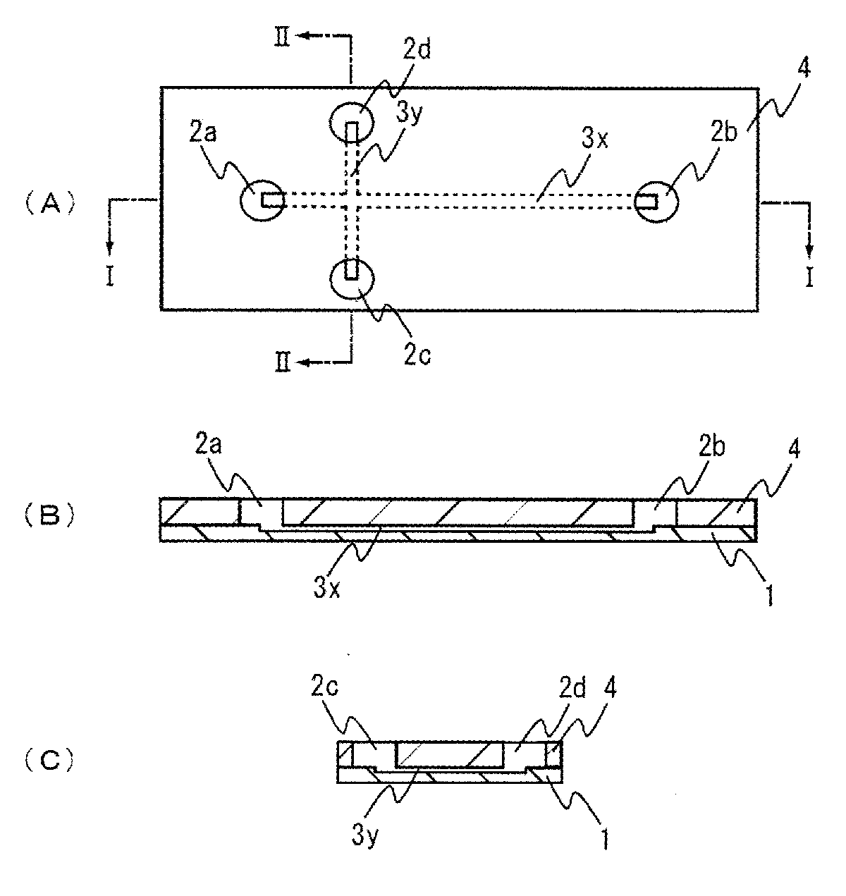 Electrophoresis Chip and Electrophoresis Apparatus