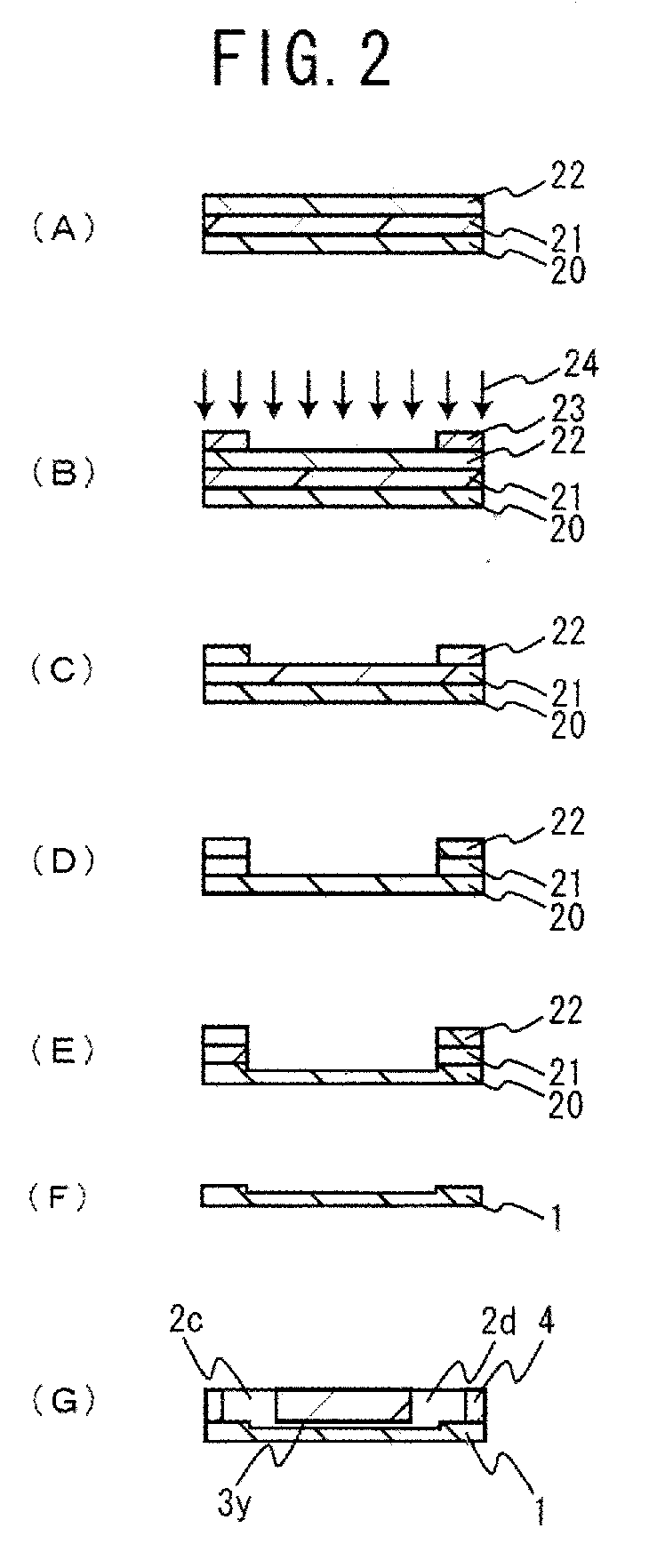 Electrophoresis Chip and Electrophoresis Apparatus