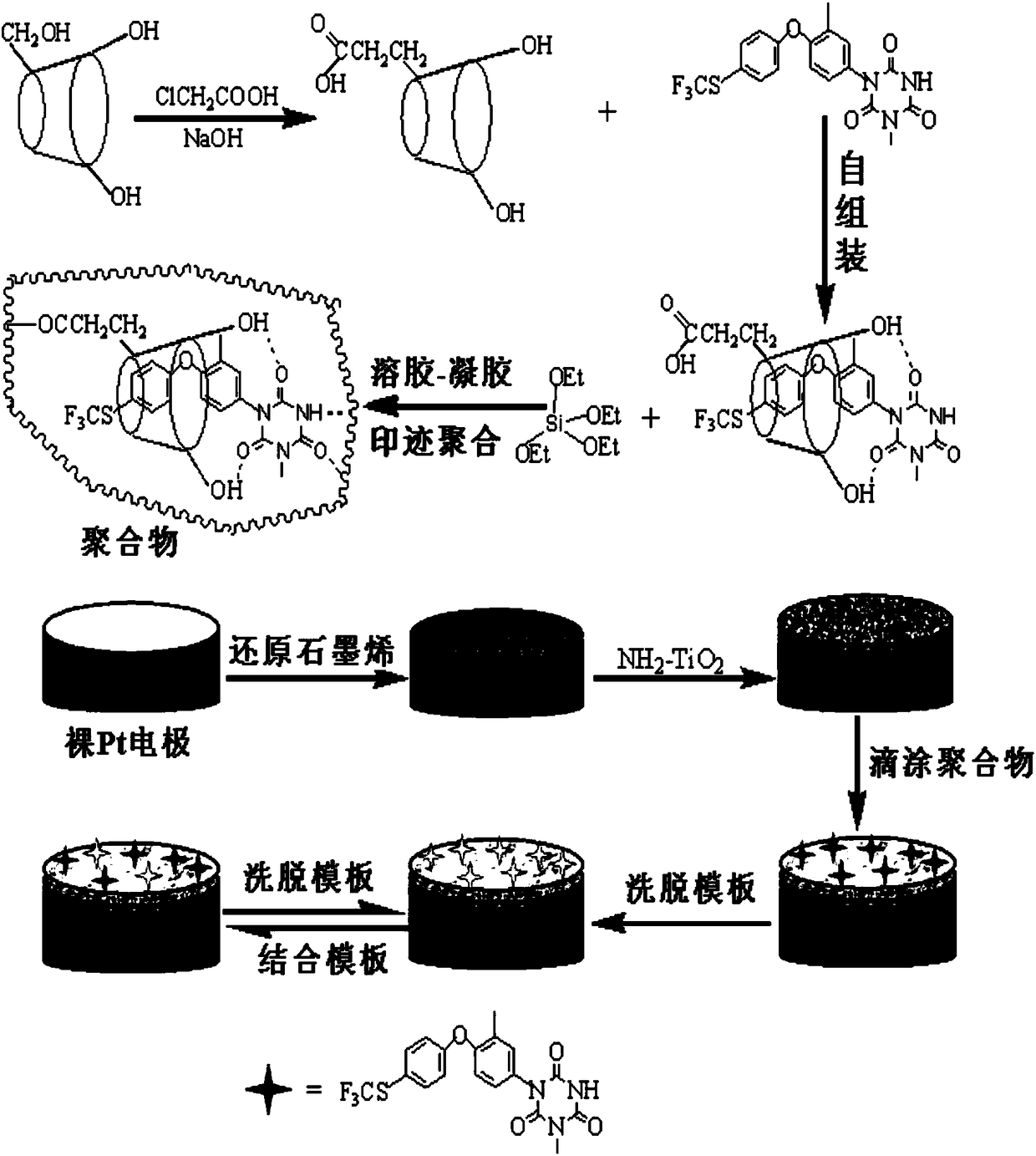 A preparation method of Toltrazuril molecularly imprinted electrochemical sensor