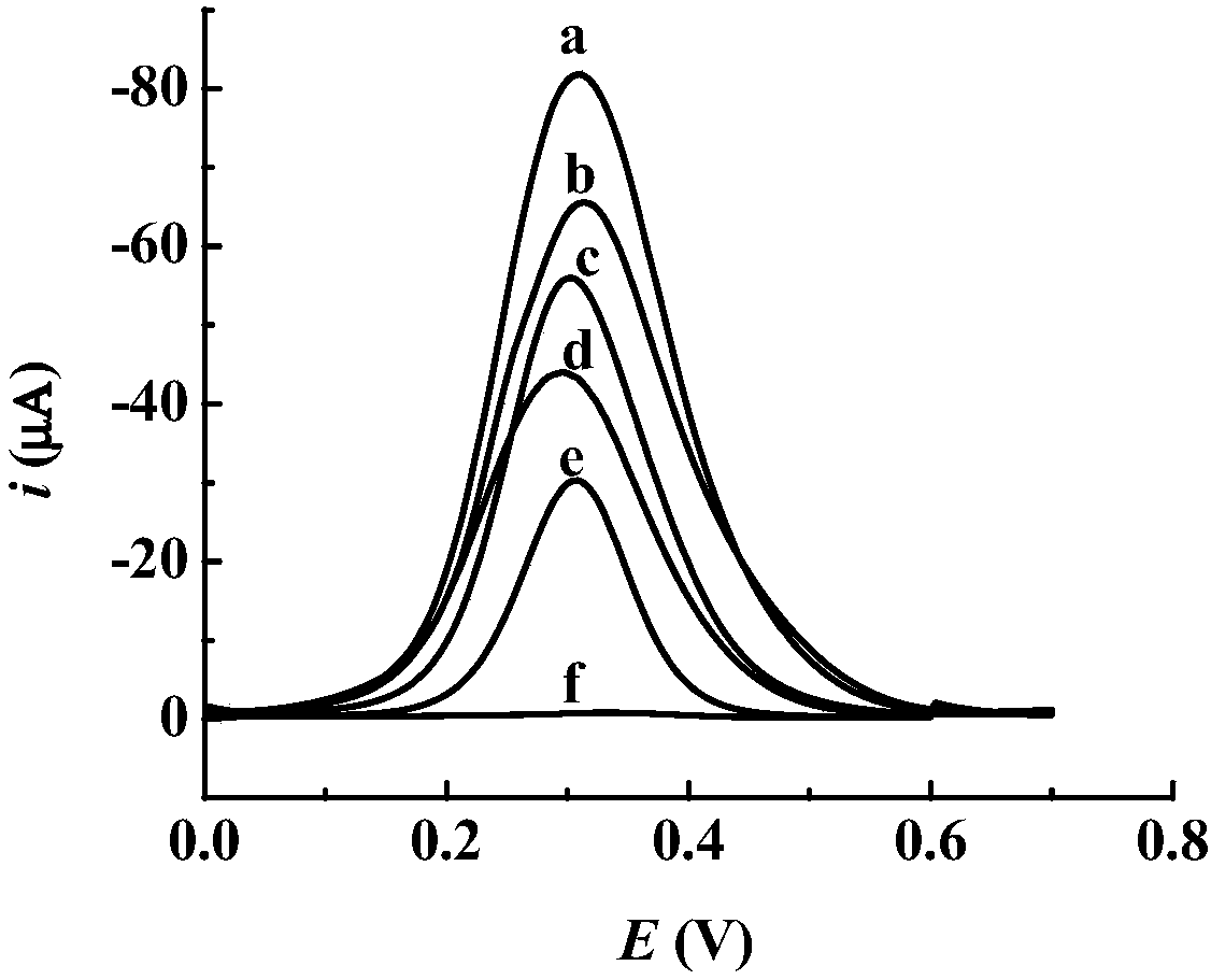 A preparation method of Toltrazuril molecularly imprinted electrochemical sensor