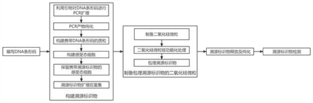 Tracing marker based on DNA bar code and preparation method thereof