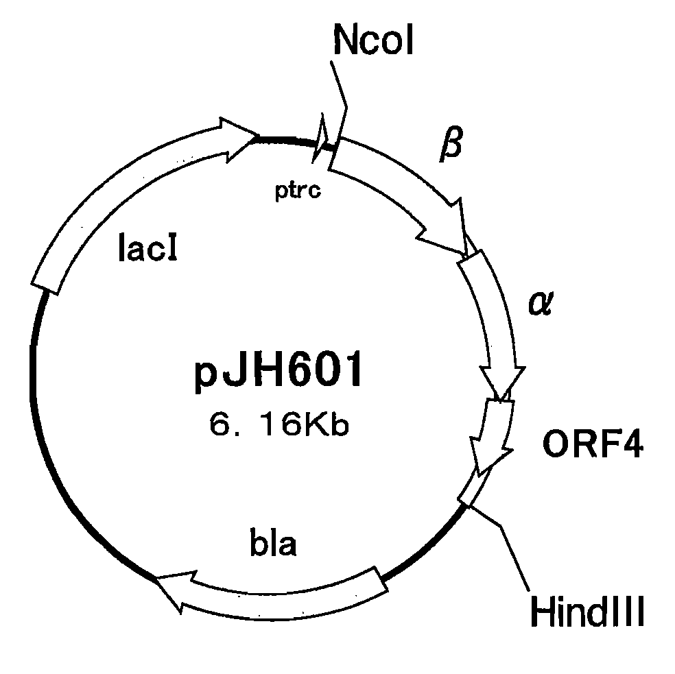 Nitrile hydratase