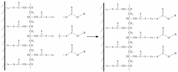 Macromolecule bridging flotation method for combined copper disseminated body