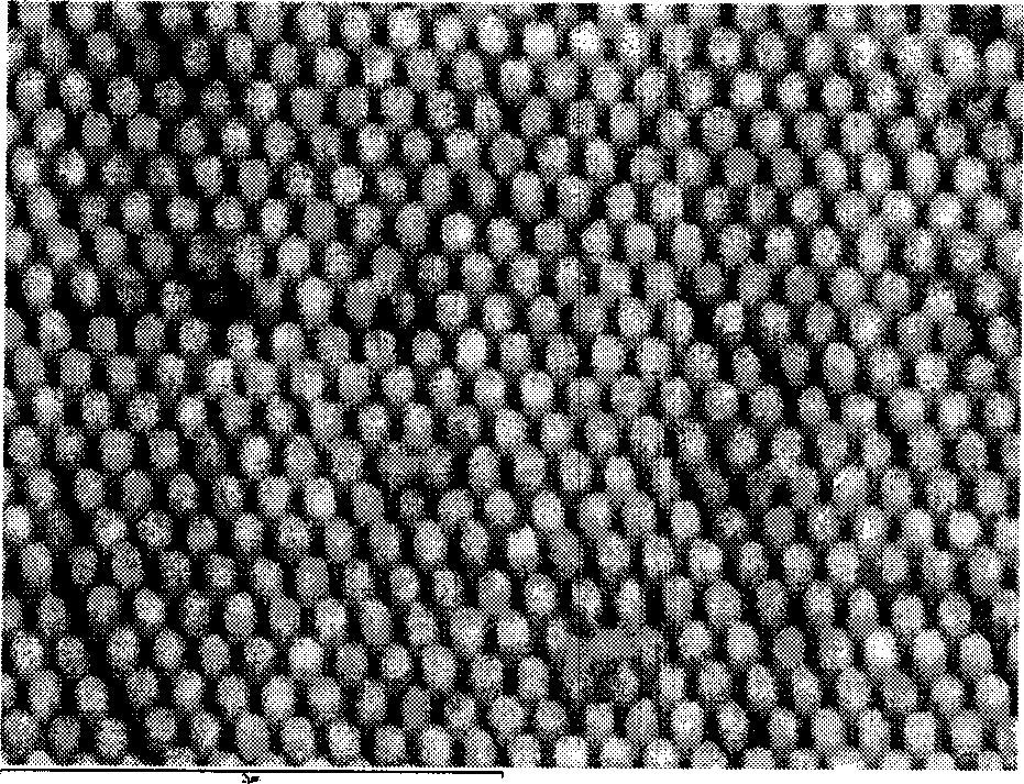 Prepn process of nanometer silicon line array