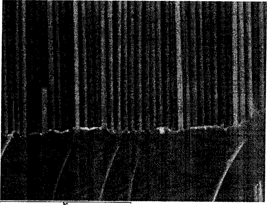 Prepn process of nanometer silicon line array