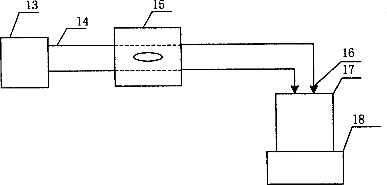 Lactobacillus fixed cell in-situ separating-fermenting lactic-acid production process