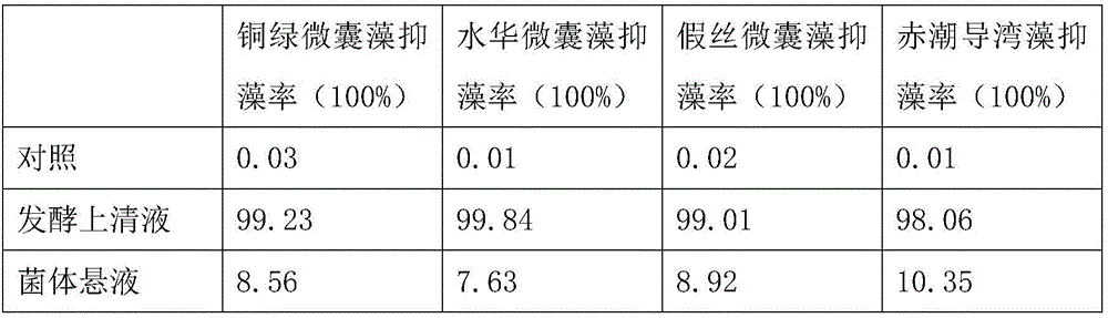 Bacillus amyloliquefaciens with enhanced algae lysing capacity and application thereof