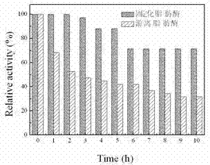 Preparation method of immobilized lipase