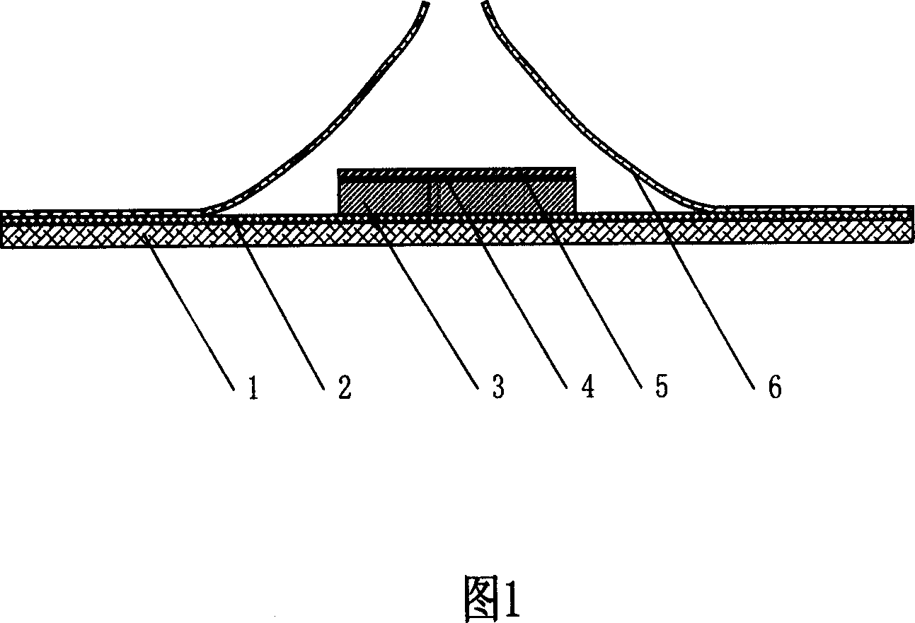 Plaster for burn and scald and its preparation