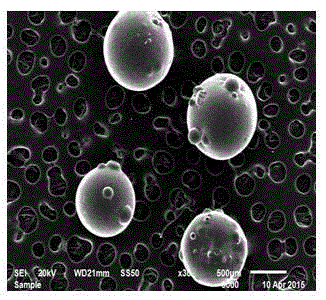 Graphene oxide and chitosan microsphere and preparation method thereof