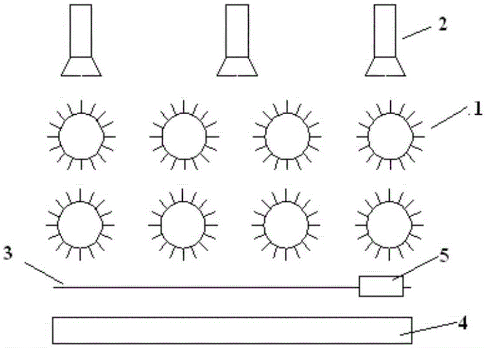 Treatment production line for testacean marine products