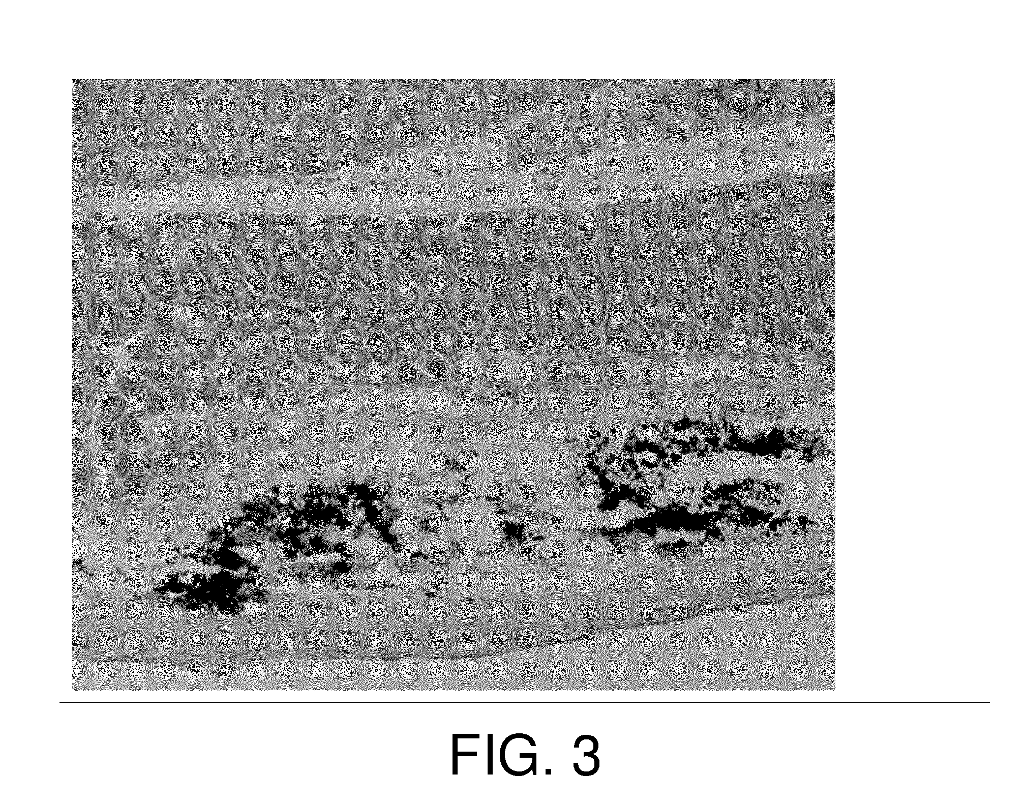 Method of fixing and expressing physiologically active substance