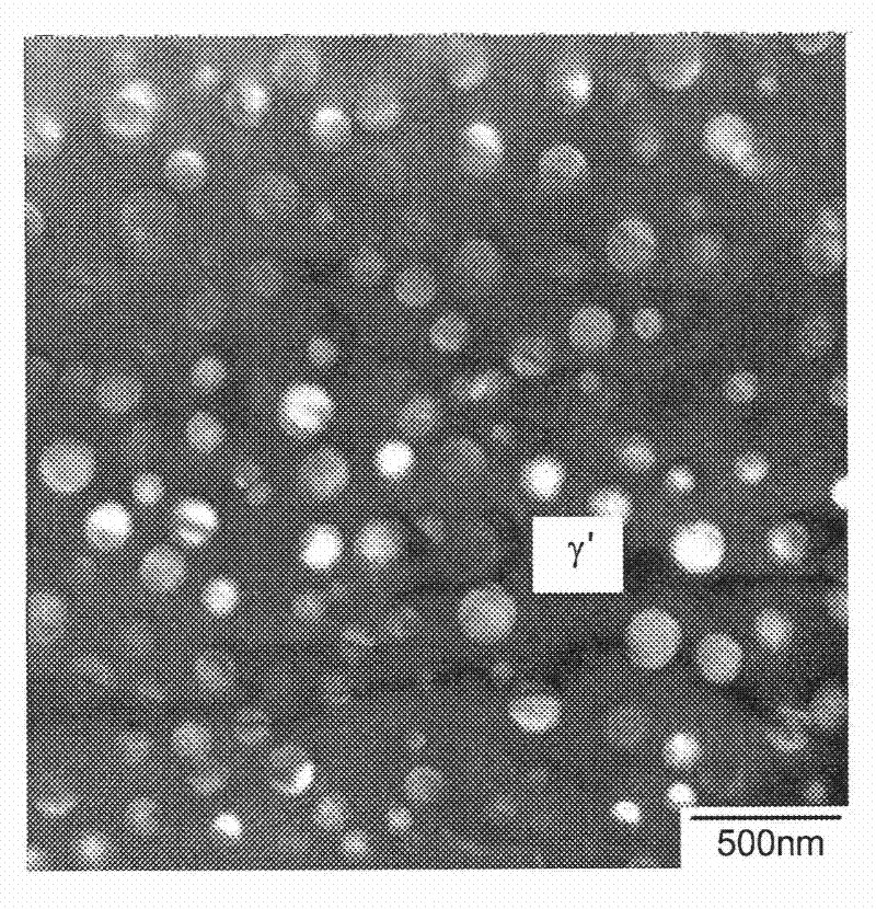 Cobalt-nickel superalloys, and related articles