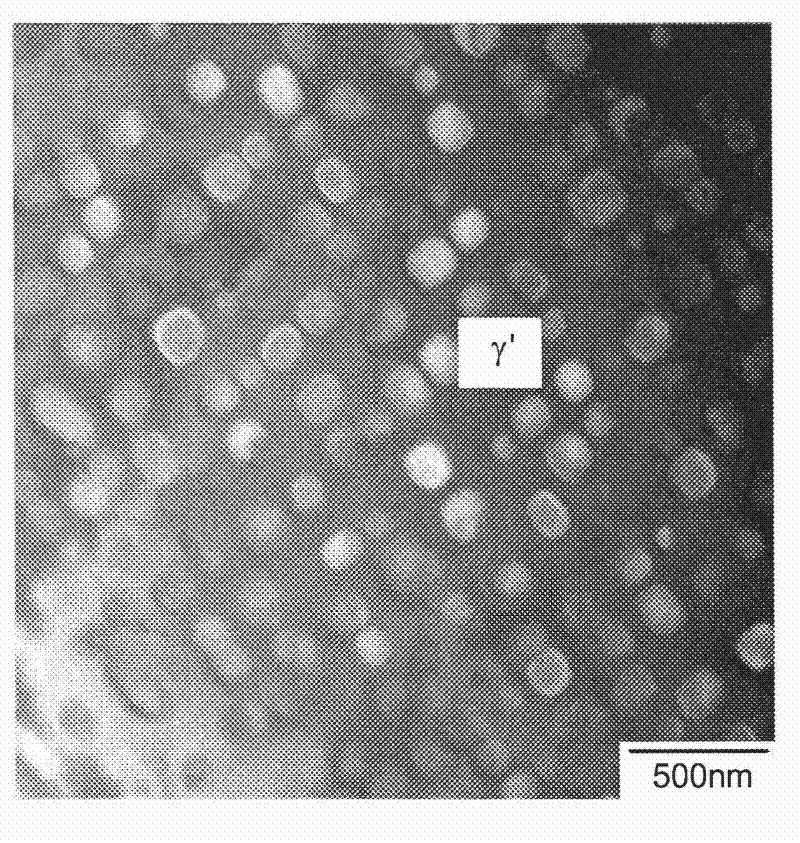 Cobalt-nickel superalloys, and related articles