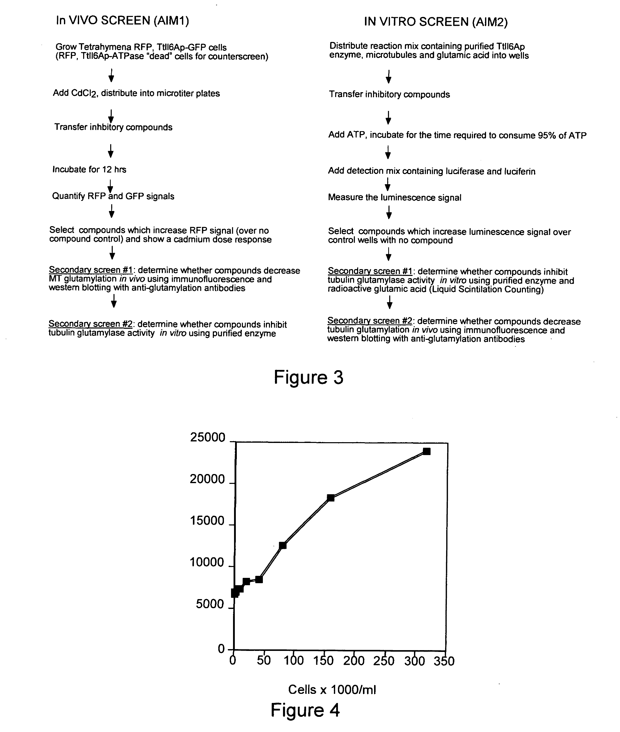 Biological system and assay for identifying modulators of tubulin ligases