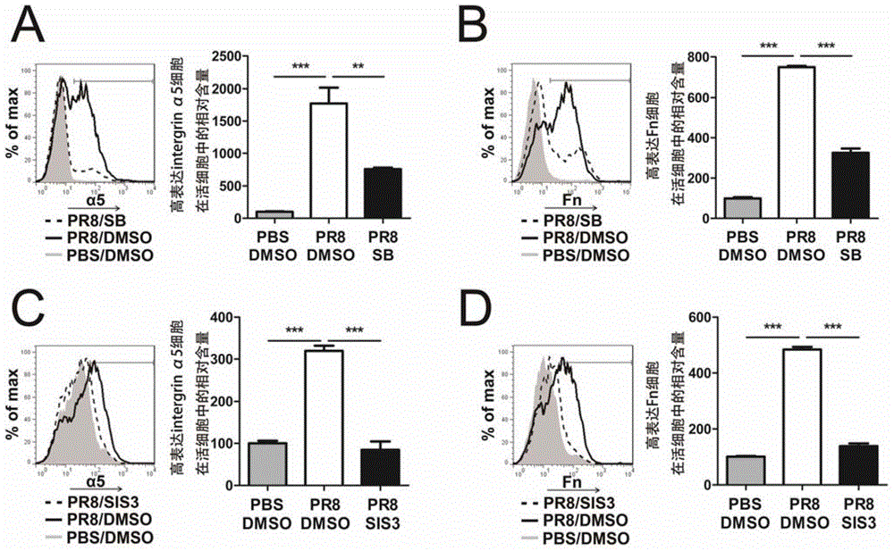 Product for inhibiting and/or preventing influenza virus secondary bacterial infection