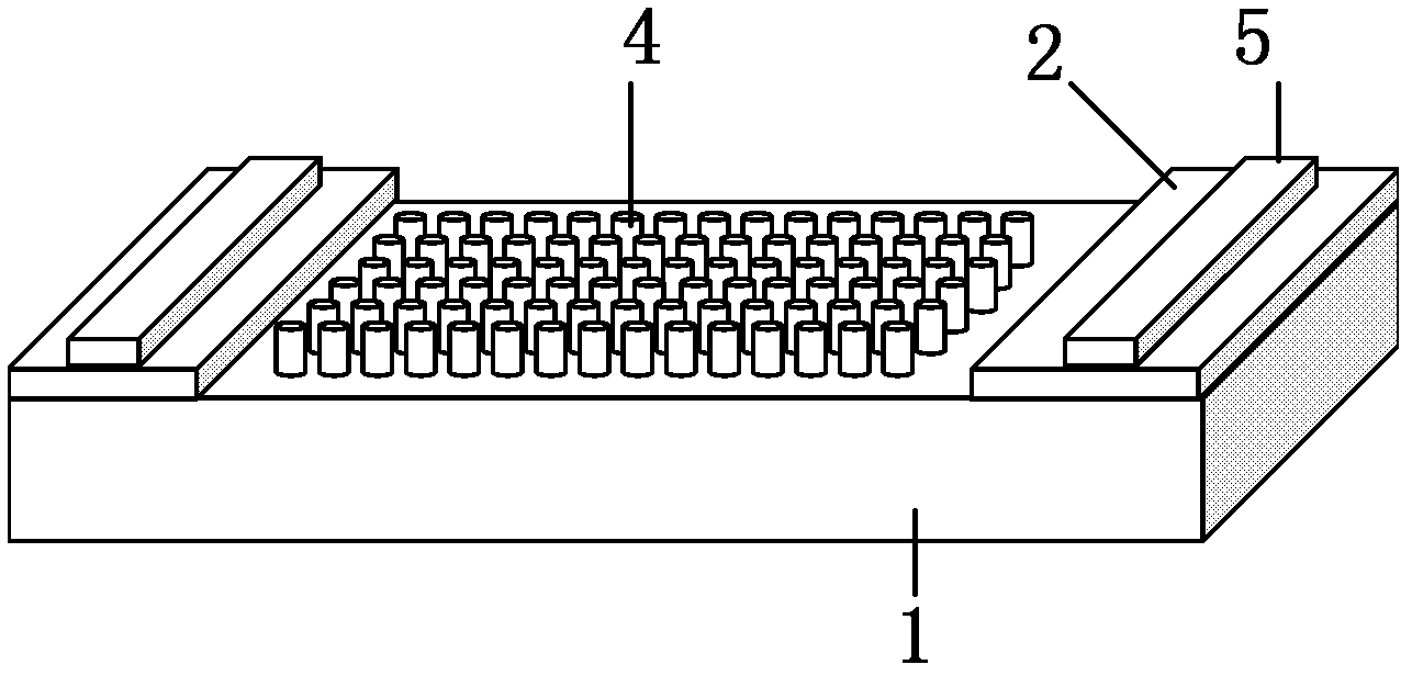 Semiconductor heterojunction solar cell based on bionic moth eye and manufacturing method thereof