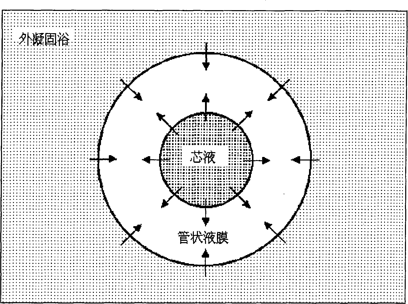 Hydrophilicity kynoar hollow fiber microporous membrane and preparation method thereof