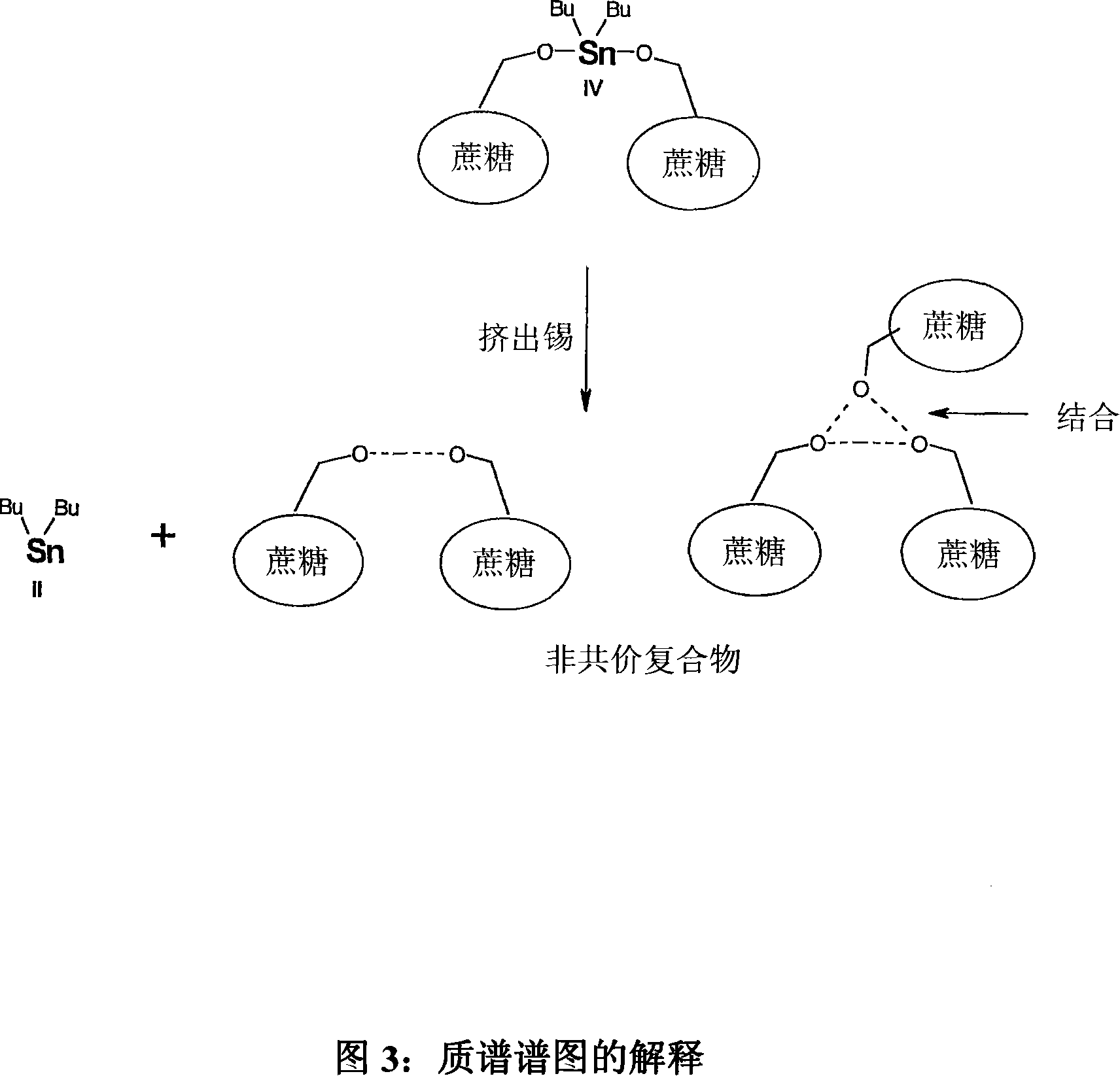 Tin mediated regioselective synthesis of sucrose-6-esters