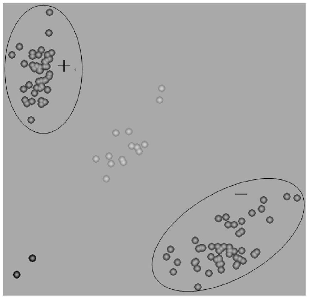 Molecular markers co-isolated with wheat low polyphenol oxidase activity gene qppo-5d