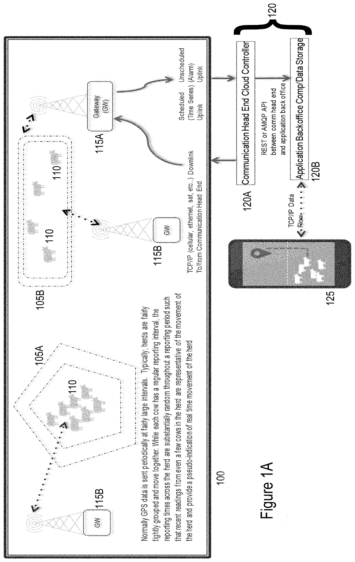 Livestock Management System and Method