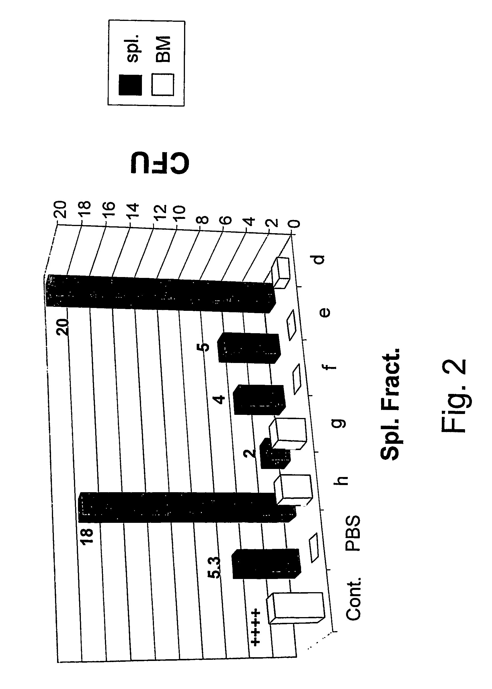 Agent derived from tortoise spleen stimulating mammalian hemopoiesis