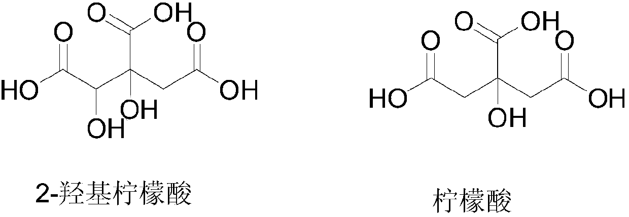 Preparation method for extracting purified hydroxy citric acid from garcinia cambogia