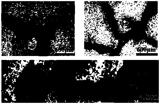 SAPs microcapsules and cement-based self-repairing material