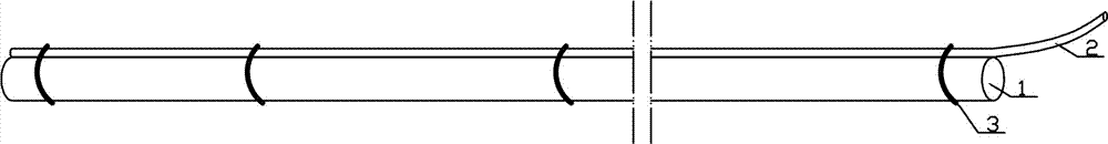 Fully bonded cement mortar bolt and grouting method