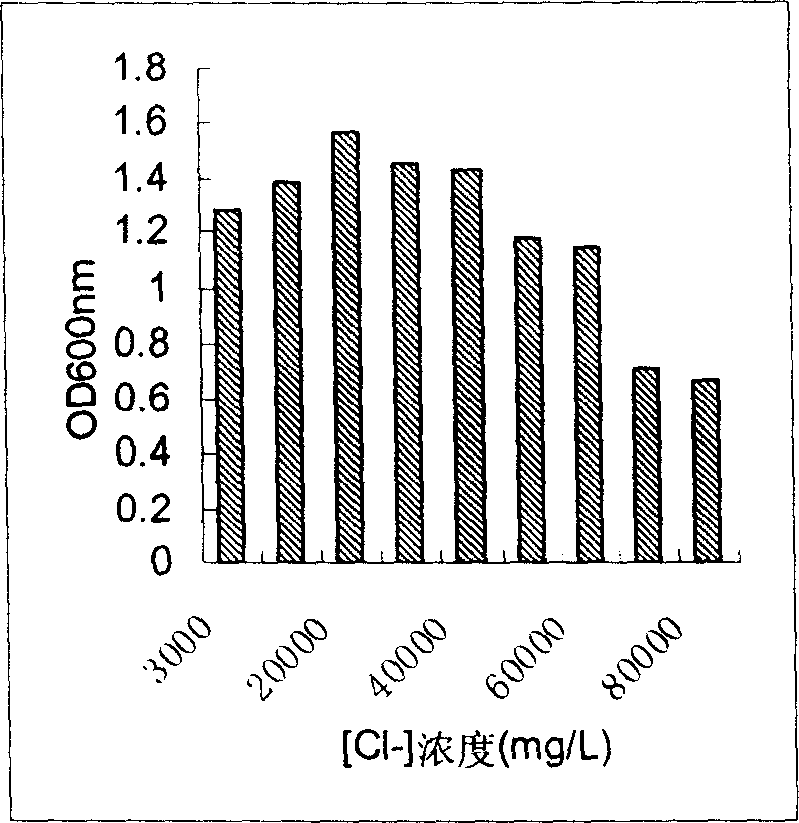 Use of chlorine-resisting strain S616