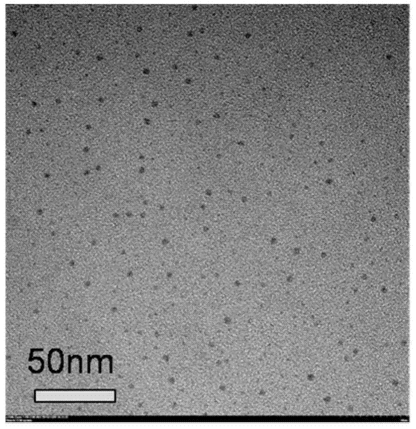 A quercetin antibacterial drug modified by cdse/zns quantum dots and its preparation method