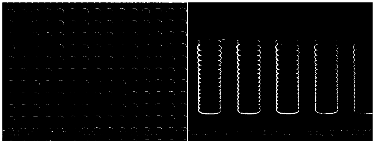 Metal micro/nano wire array and preparation method thereof