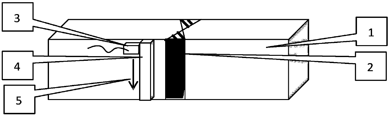 Ultrasonic phased array tablet detection system and probe movement limiting device thereof