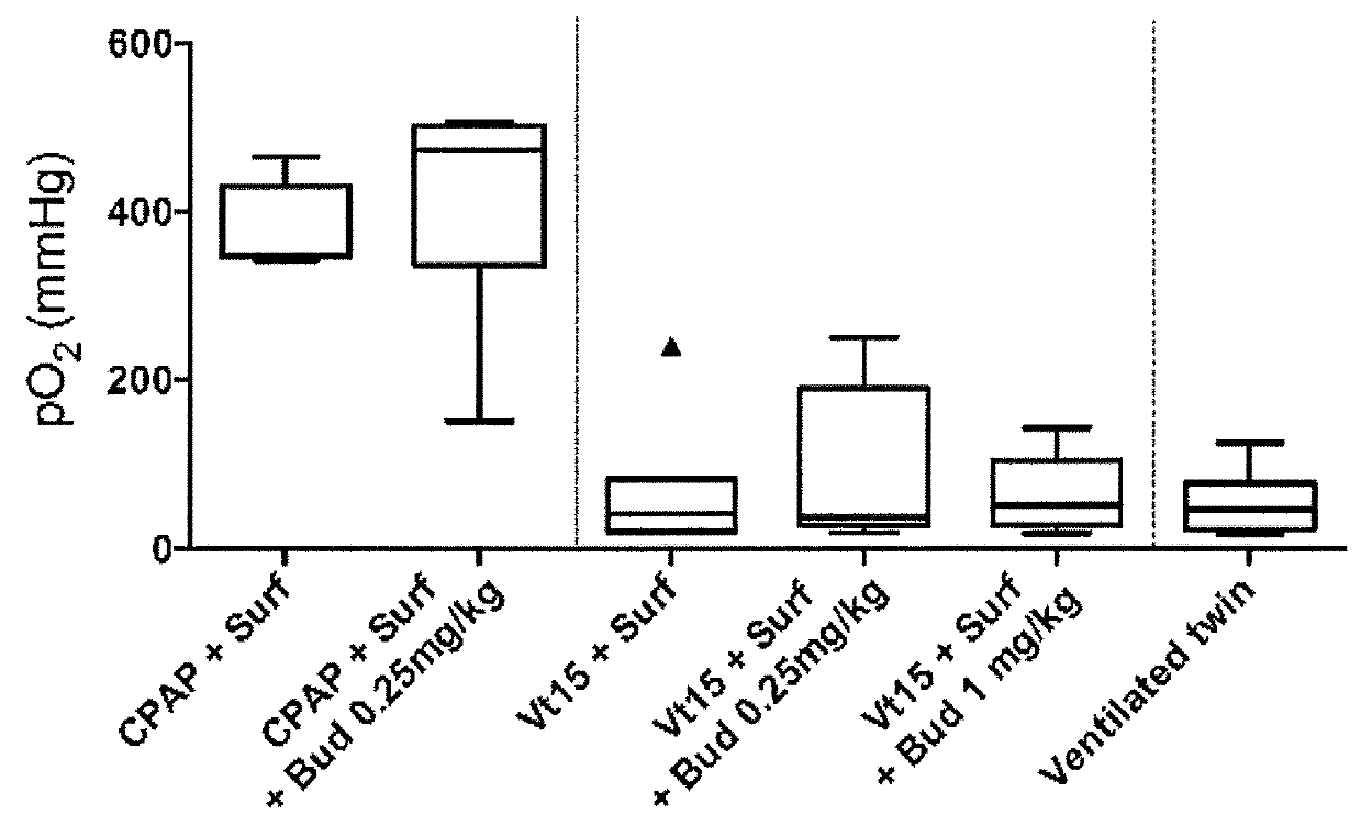 Therapeutic combination comprising a pulmonary surfactant and a steroid for the treatment of evolving bpd