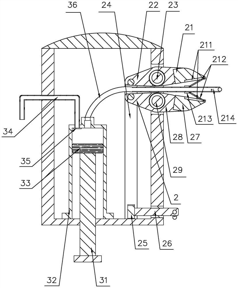 Medicine feeder for pediatrics